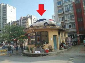 南公村小区爆料视频,真实生活场景引发热议